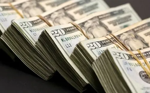 Tỷ giá USD hôm nay (8-7): Đồng USD tăng nhẹ