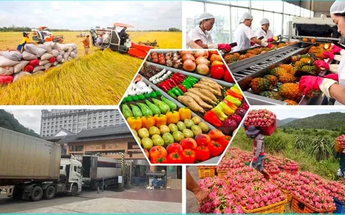 Đề xuất cải cách thủ tục nhập khẩu nguyên liệu, tạo động lực cho xuất khẩu nông sản