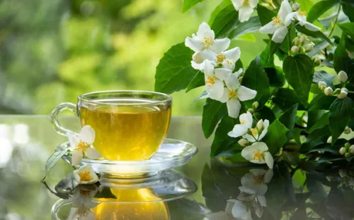 Trà hoa nhài - Thức uống thanh mát mang đến nhiều lợi ích cho sức khỏe phụ nữ
