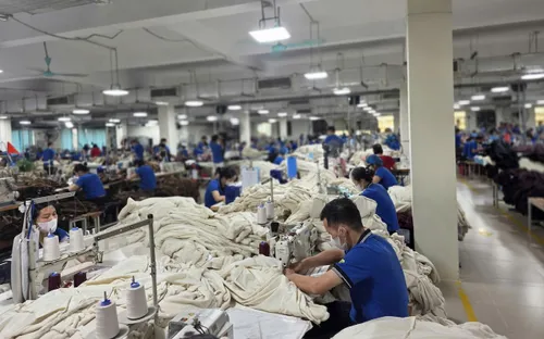 Doanh nghiệp lưu ý tuân thủ ngưỡng PFAS trong xuất khẩu sang EU