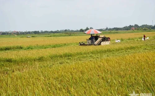 Giảm phát thải khí nhà kính trong nông nghiệp