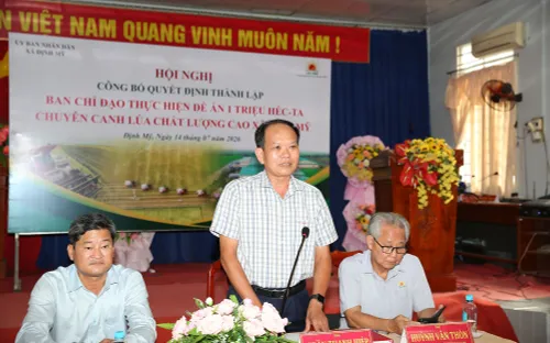 Đề án 1 triệu ha lúa: Khi chính quyền cấp xã trở thành 'nhạc trưởng' trên cánh đồng