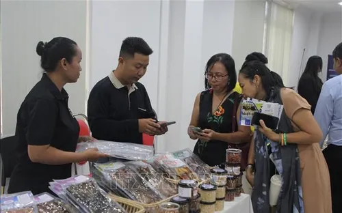Thúc đẩy thương mại điện tử xuyên biên giới giữa Việt Nam, Campuchia