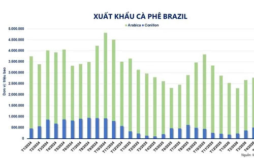 Thị trường hàng hóa: Cà phê trải qua đợt biến động giá mạnh