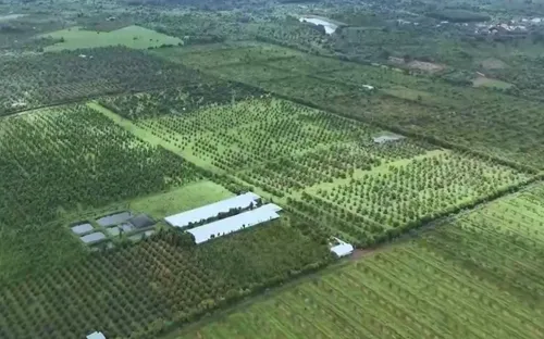 Họp báo Lễ hội Sầu riêng Đắk Lắk 2026