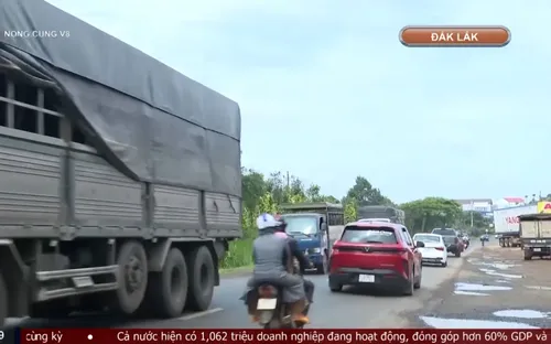 Đắk Lắk: Tăng cường bảo đảm an toàn giao thông mùa thu hoạch sầu riêng