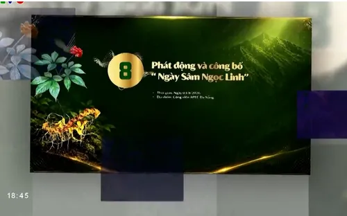 Đà Nẵng chuẩn bị chu đáo cho Lễ hội Sâm Ngọc Linh và Dược liệu Quốc tế: Khát vọng nâng tầm thương hiệu quốc gia