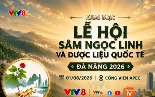 Lễ hội Sâm Ngọc Linh và Dược liệu quốc tế Đà Nẵng 2026: Nơi tinh hoa đại ngàn hội tụ