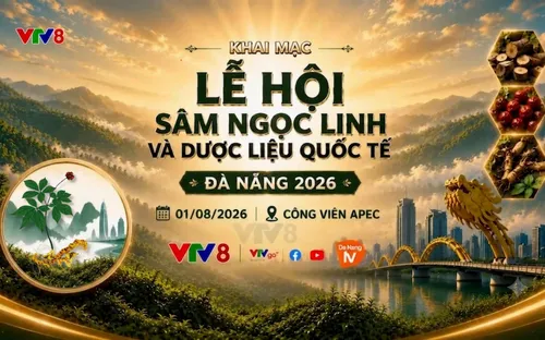 LIVE 20h00 (01/08) Khai mạc Lễ hội Sâm Ngọc Linh và Dược liệu quốc tế Đà Nẵng 2026