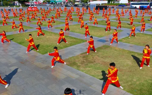 Đưa võ cổ truyền Việt Nam đến gần công chúng