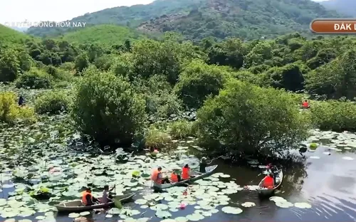Khám phá Bầu Đá – rừng ngập nước độc đáo ở Đắk Lắk