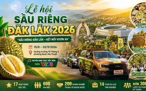 Lễ hội Sầu riêng Đắk Lắk 2026 sẵn sàng khai hội với nhiều điểm nhấn đặc sắc