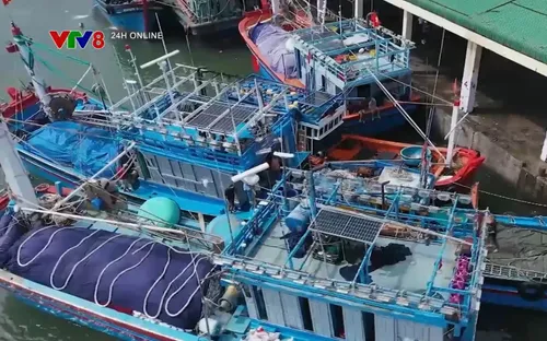 Đắk Lắk đẩy mạnh tuyên truyền, nâng cao hiệu quả thực thi chống khai thác IUU