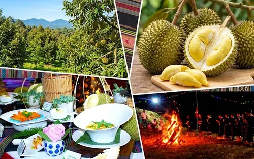 Đắk Lắk 2026: Đánh thức mọi giác quan tại Lễ hội Sầu riêng “Kết nối vươn xa”