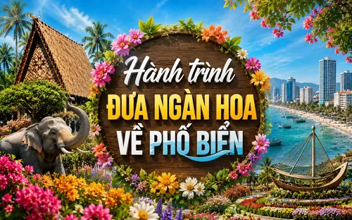 Hành trình đưa ngàn hoa về phố biển