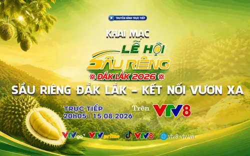 Live 20h05 (15/8) Khai mạc Lễ hội sầu riêng Đắk Lắk năm 2026