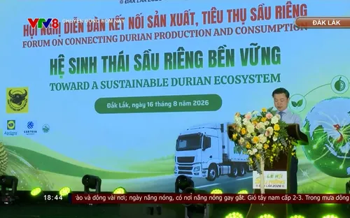 Đắk Lắk xây dựng hệ sinh thái sầu riêng bền vững