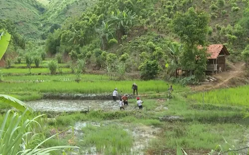 Đăk Sơ Mei: Khát vọng vươn lên từ những mô hình chuyển đổi sinh kế