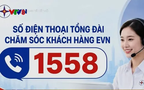 EVN Quảng Ngãi ra mắt đầu số chăm sóc khách hàng 1558
