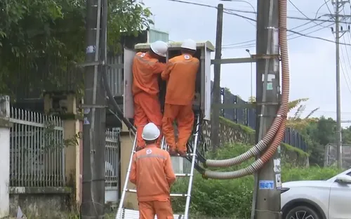 Điện lực Quảng Ngãi đảm bảo nguồn điện dịp Quốc khánh 2/9