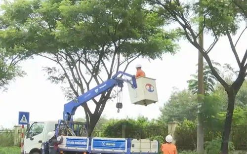 Điện lực Gia Lai chủ động bảo đảm cấp điện dịp Quốc khánh 2/9