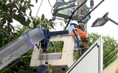 TP. Huế: Đảm bảo an toàn lưới điện trước mùa mưa bão