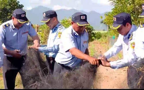 Khánh Hòa: Mở đợt cao điểm bảo vệ đàn chim yến