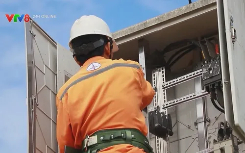 Điện lực Quảng Ngãi chủ động bảo vệ hành lang an toàn lưới điện trước mùa mưa bão