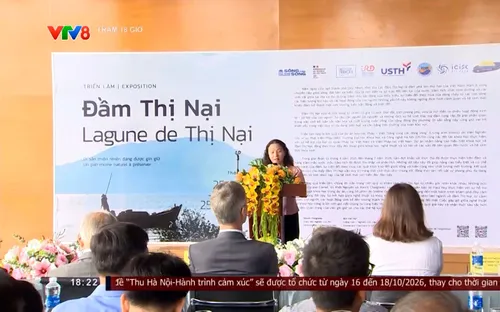 Triển lãm Đầm Thị Nại: Khám phá di sản thiên nhiên đáng được gìn giữ