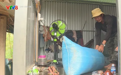 Đắk Lắk: Người dân vùng trũng chủ động ứng phó thiên tai để giảm thiệt hại