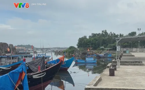Cảng cá sông Trà Bồng cần sớm hoàn thiện hạ tầng để phát huy hiệu quả khai thác thủy sản