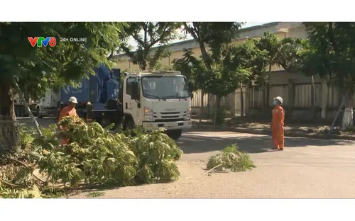 Điện lực Đà Nẵng chủ động ứng phó thiên tai từ sớm, từ xa