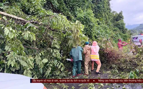 Lâm Đồng dồn sức khôi phục giao thông sau mưa lũ