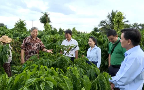 Đắk Lắk chuẩn bị Hội thi “Nhà nông đua tài” năm 2027