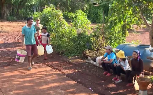 Chủ động ứng phó nguy cơ thiếu nước do ảnh hưởng của El Nino