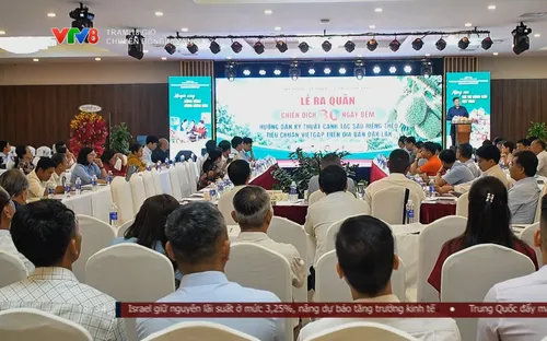 Đắk Lắk: Tổng lực hướng dẫn canh tác sầu riêng đạt chuẩn VietGAP