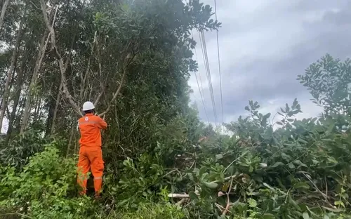 Điện lực Quảng Ngãi chủ động phương châm “4 tại chỗ” bảo đảm an toàn điện mùa mưa bão