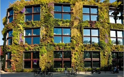 Ghé thăm những bức tường "sống" tuyệt đẹp trên thế giới