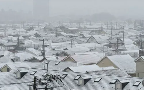 Nhật Bản: Bão tuyết làm 8 người thiệt mạng