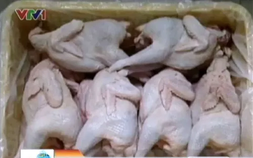 Gà nghi thải loại vẫn len lỏi vào chợ Hà Nội