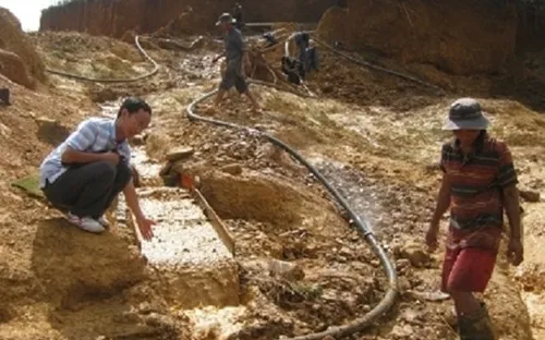 Quảng Nam: Gần 1 tấn quặng vàng bị thu giữ 