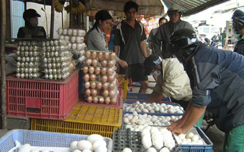 Giá trứng gia cầm lại tăng