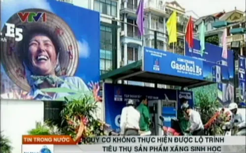 Nguy cơ “vỡ trận” xăng sinh học