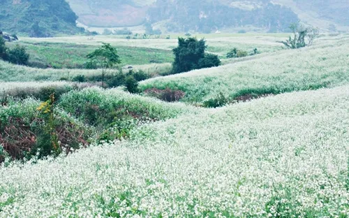 Ngao du miền sơn cước ngày đầu Xuân