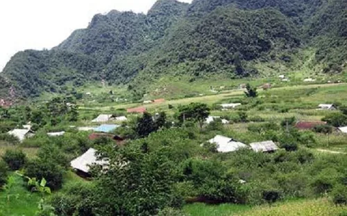 Đặc sắc trên VTV ngày 15/1