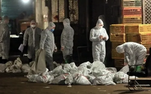 Trung Quốc: Đóng cửa hàng loạt chợ gia cầm sống