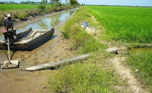 Bình Định: Hơn 7.000 ha đất lúa phải bỏ hoang