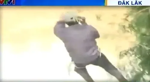 Đăk Lăk: Hàng trăm hộ dân đu dây vượt sông canh tác