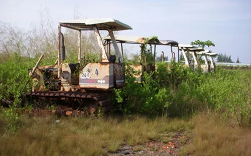 Vướng mắc thi hành án, Cadovimex có nguy cơ phá sản     