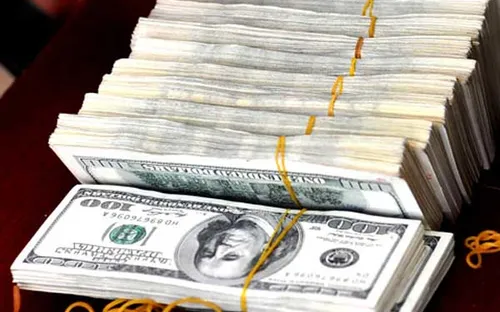 Tiềm năng đóng góp của kiều bào còn rất lớn